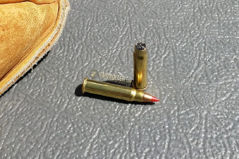 Do They Make Subsonic 17 HMR Ammo? Complete Guide