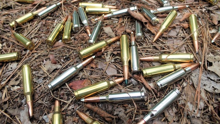 Does Walmart Sell 308 Ammo? Availability, Laws, and Buying Guide