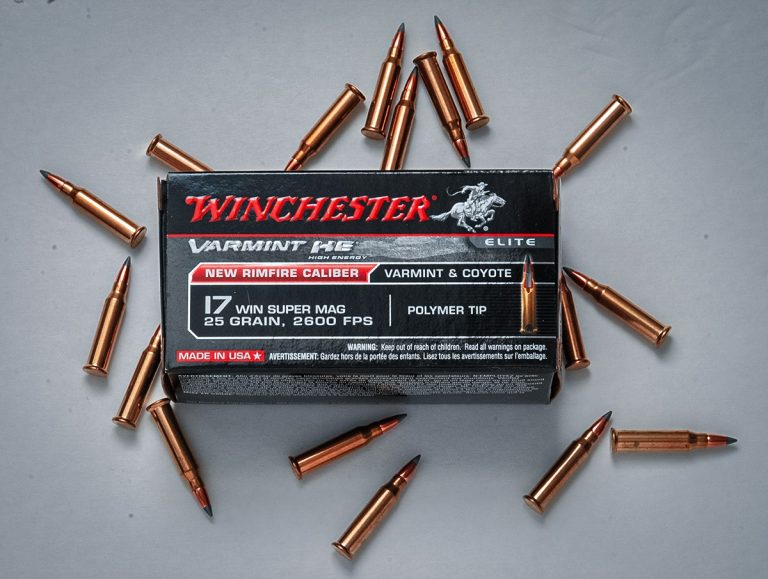 When Will 17 WSM Ammo Be Available? Latest Updates, Availability Timeline, and Buying Guide