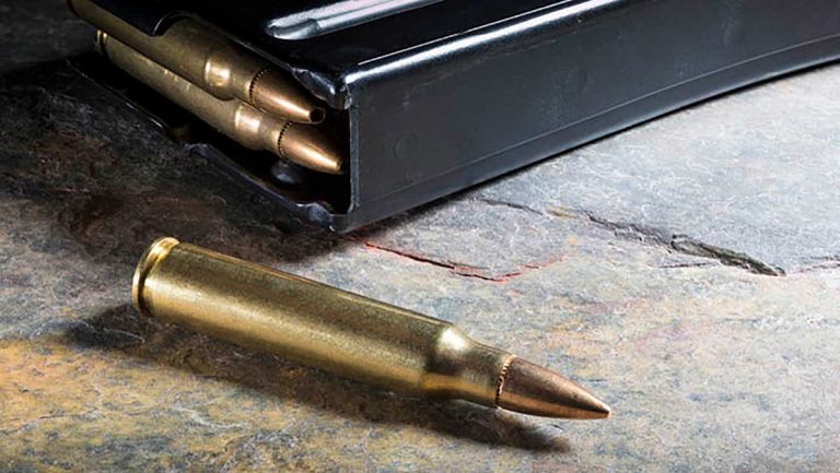 When Will Ammo Prices Drop? Expert Insights, Trends, and Future Predictions