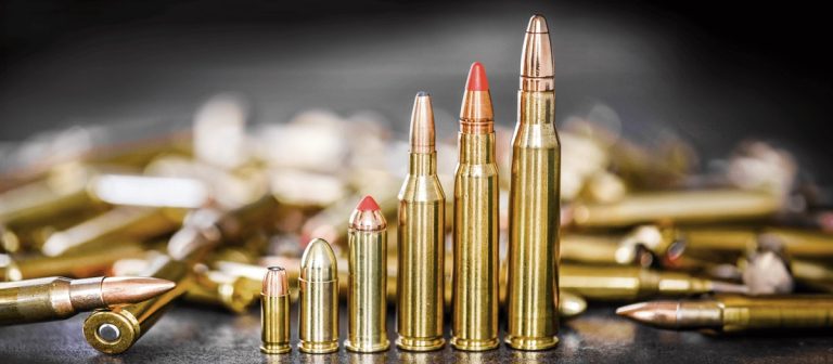 How to Switch Ammo Types in Ready or Not A Complete Step-by-Step Guide