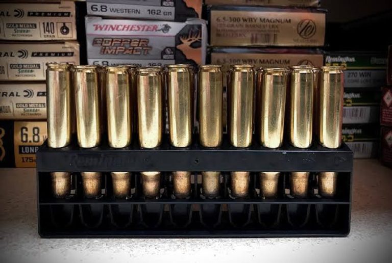 Is Sentry Ammo Legit? Honest Review, Quality, Performance, and Buyer Guide