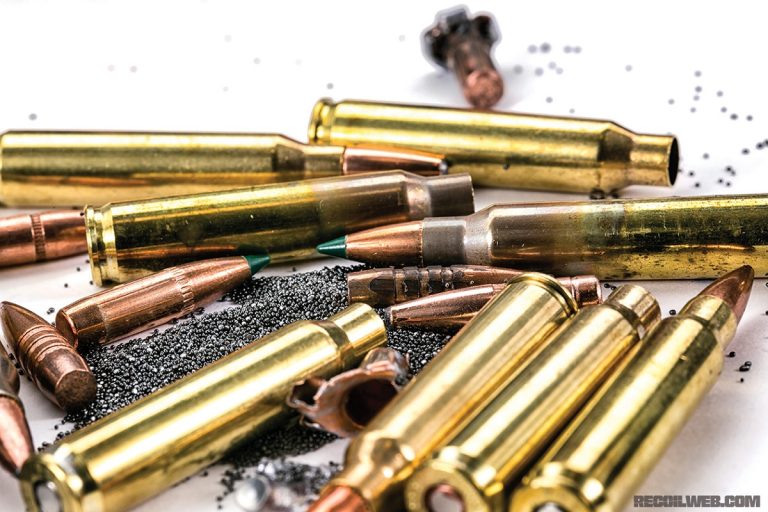 What Ammo Does ARP Take? Complete Caliber and Ammunition Guide